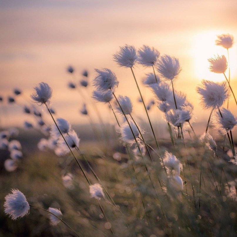 Классные фотографии, прикольные и жизненные картинки Классные фотографии, прикольные и жизненные картинки красивые фотографии,прикольные картинки,шикарные фотографии