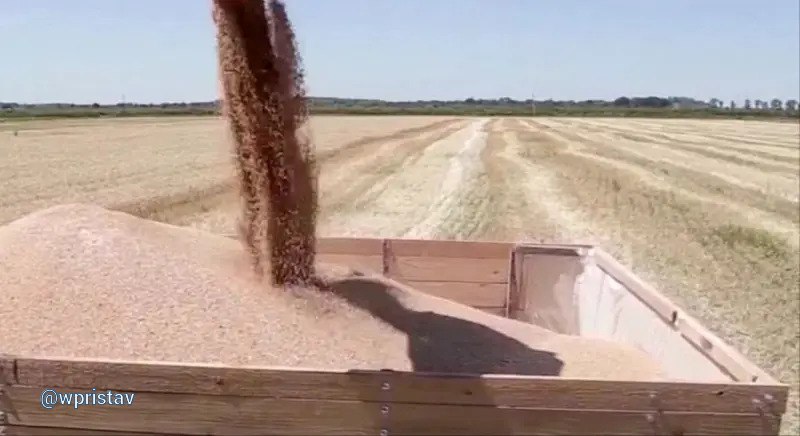 Страны БРИКС поддержали российскую инициативу о создании собственной зерновой