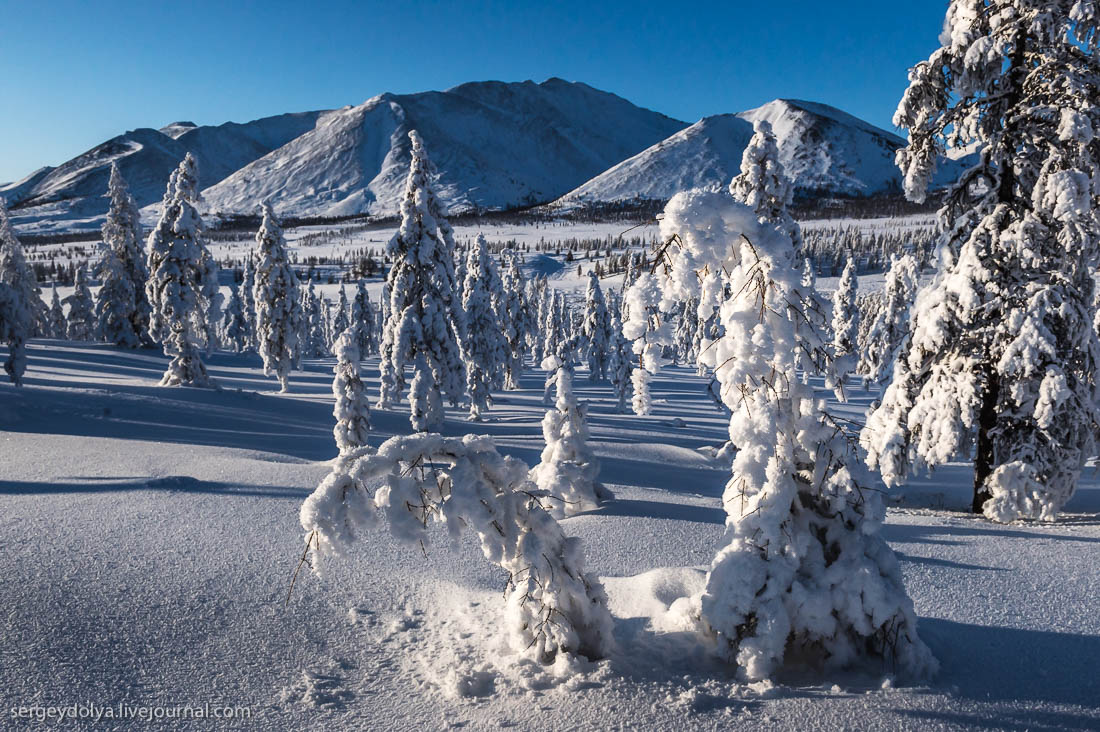 Якутия зимой. Якутск зима. Морозы в Якутии. Морозная Якутия. Сибирь самый холодный.