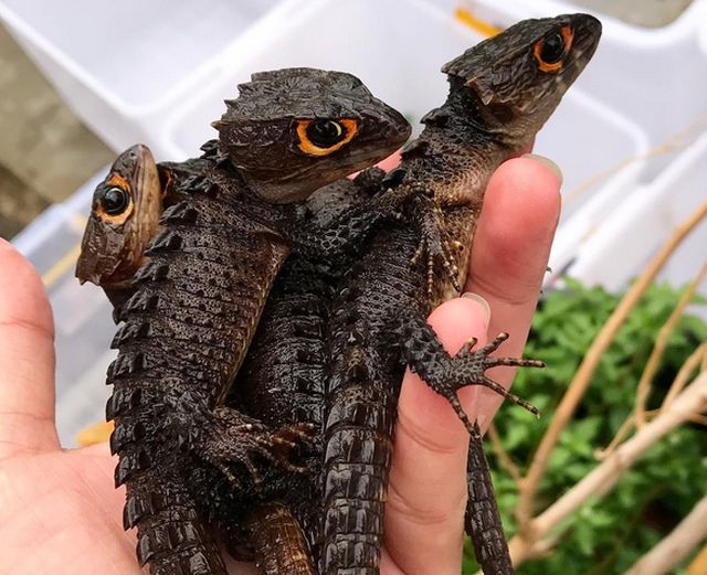 Подборка зачетных картинок и фото приколов из сети Подборка зачетных картинок и фото приколов из сети приколы,прикольные картинки,смешные картинки,фото приколы,юмор