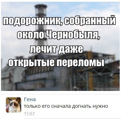 Подборка зачетных картинок и фото с надписями из жизни 