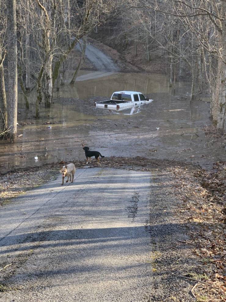 Подборка смешных картинок. Вечерний выпуск Подборка смешных картинок. Вечерний выпуск