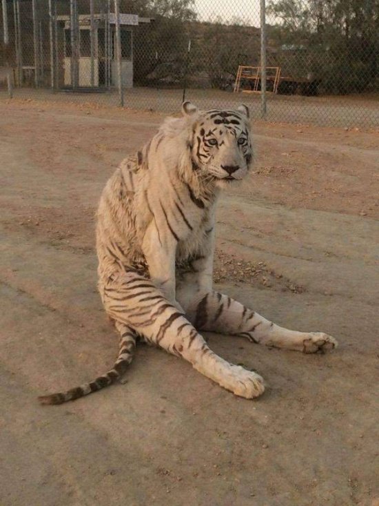 Юмор на разные темы  