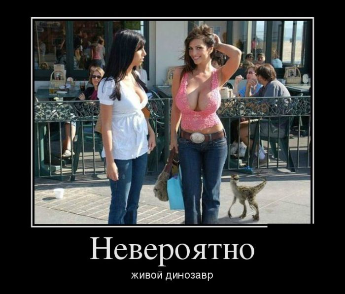 Демотиваторы (30 фото)