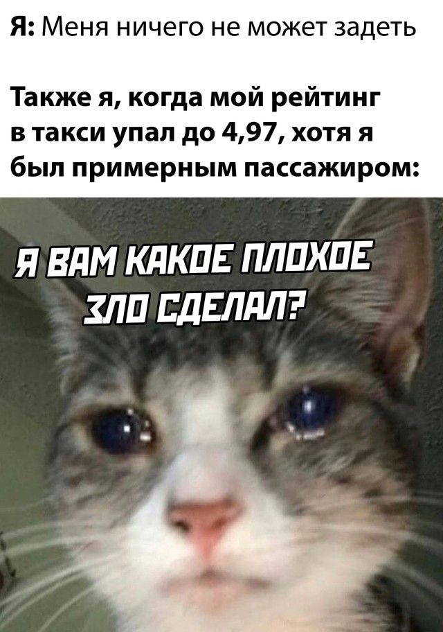 Подборка прикольных картинок Подборка прикольных картинок приколы,смешные картинки,юмор