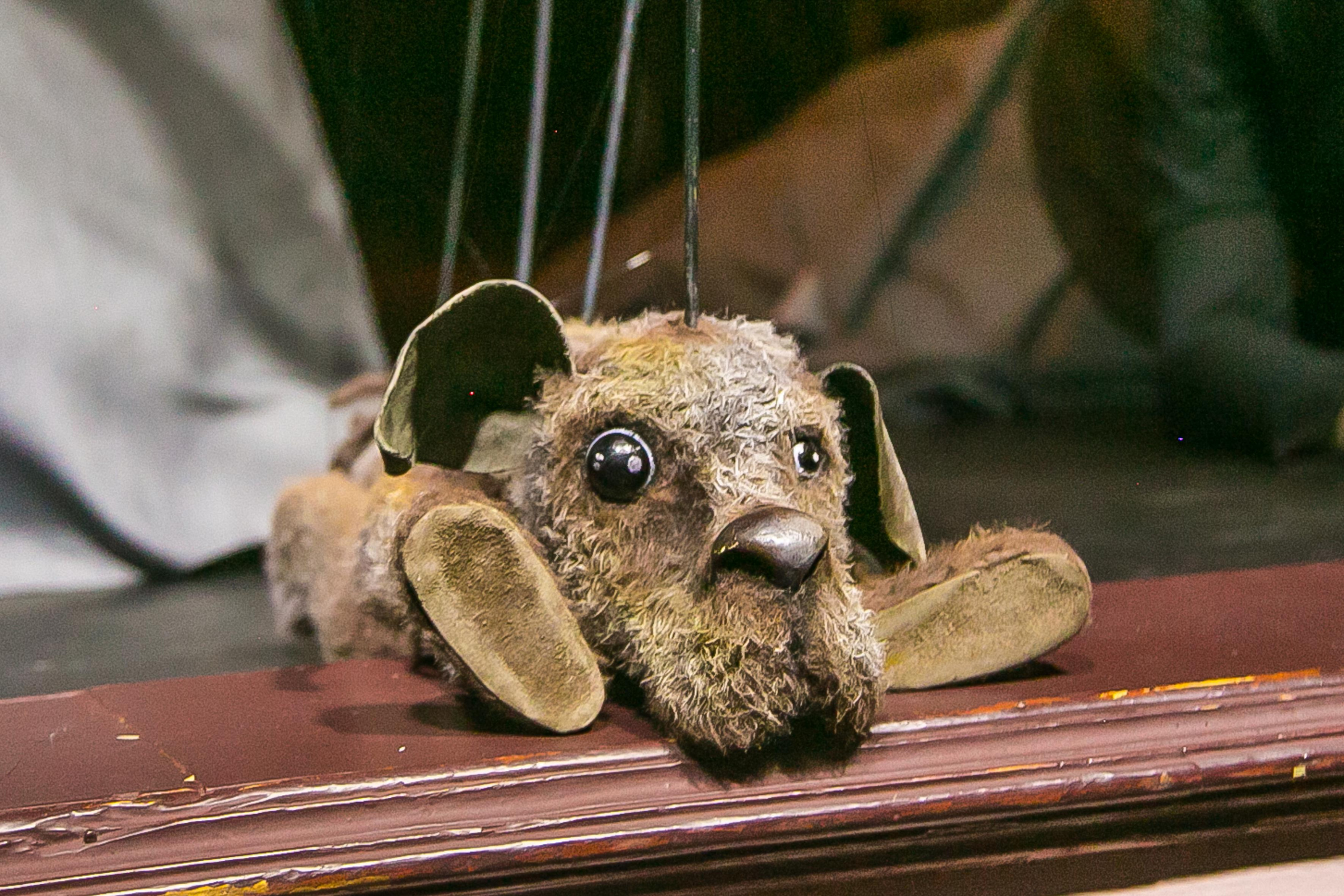 Афиша: куда сходить и что посмотреть с детьми на майские праздники можно, спектакль, школы, «Бродвей, Золушке, официальном, театральной, маяПодробнее, чтобы, театра, детей, компании, животных, жизни, собаке, благополучия, питания, Проект, много, «Жужжащий