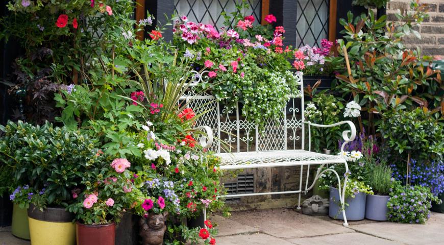 Скамейки в саду: коллекция идей дача,идеи для дачи,ландшафтный дизайн,сад