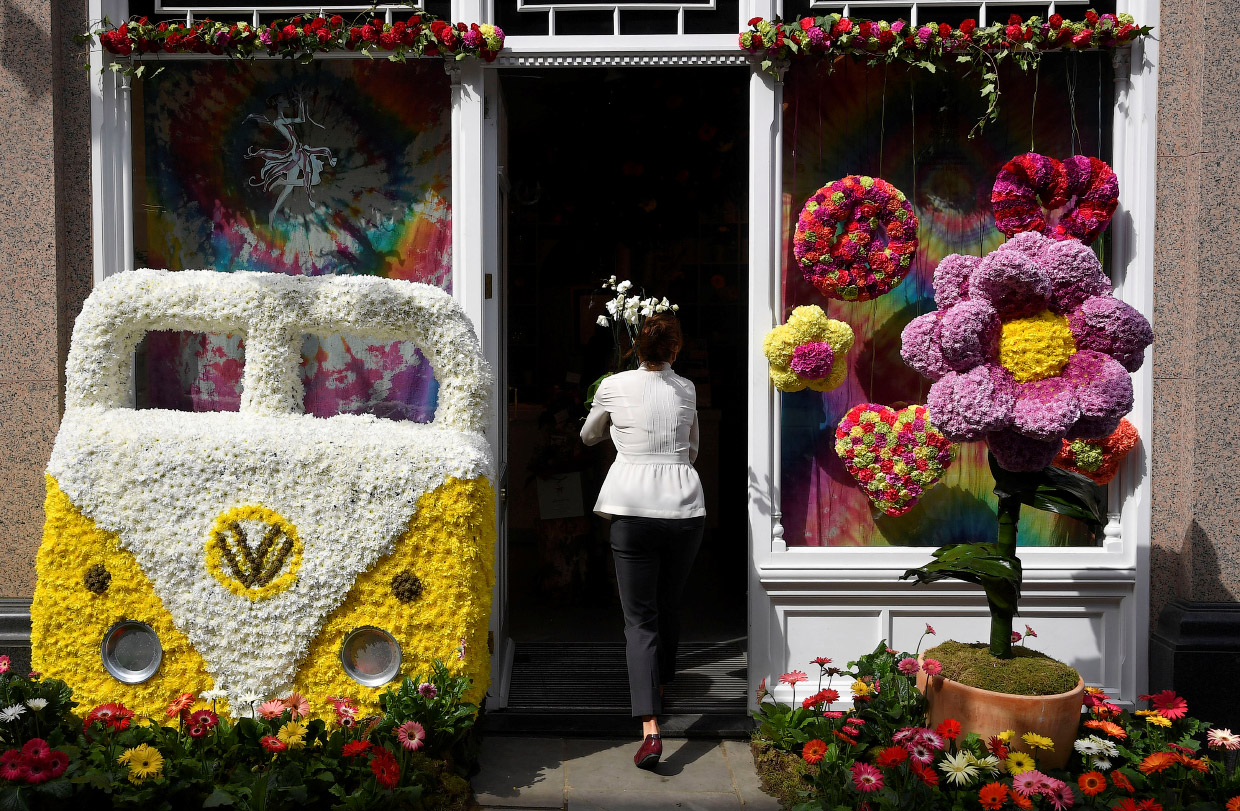 Как прошла крупнейшая европейская цветочная выставка The RHS Chelsea Flower Show 2018