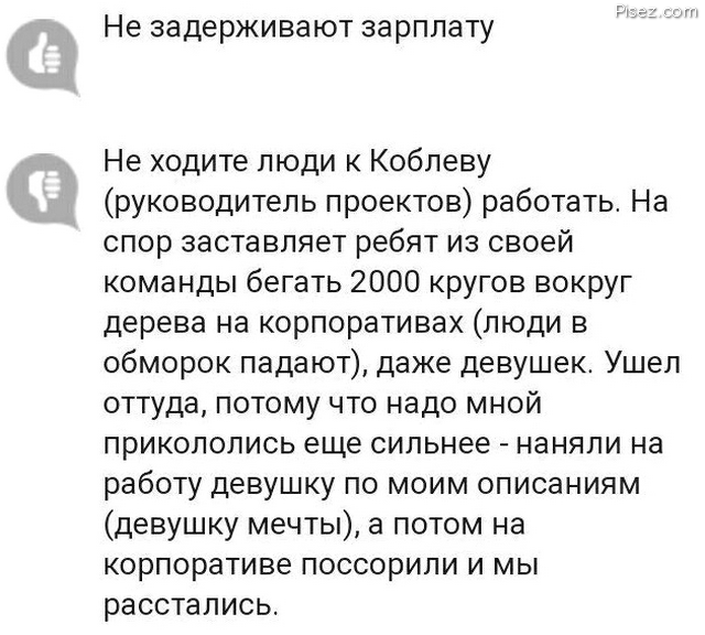 Новогодние корпоративы. Отличные приколы!