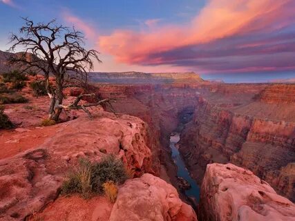 Grand Canyon National Park, National Parks, Las Vegas, Famous Landmarks, Lo...