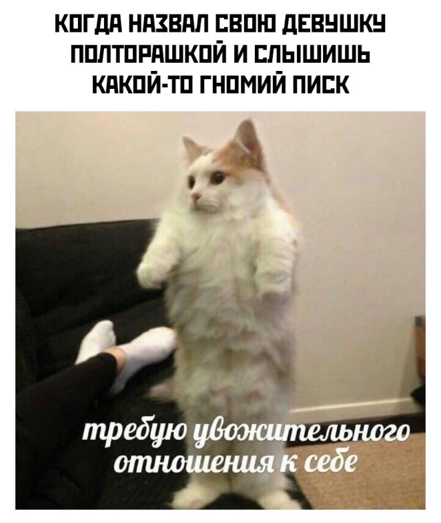 Подборка картинок. Вечерний выпуск Подборка картинок. Вечерний выпуск приколы,смешные картинки,юмор