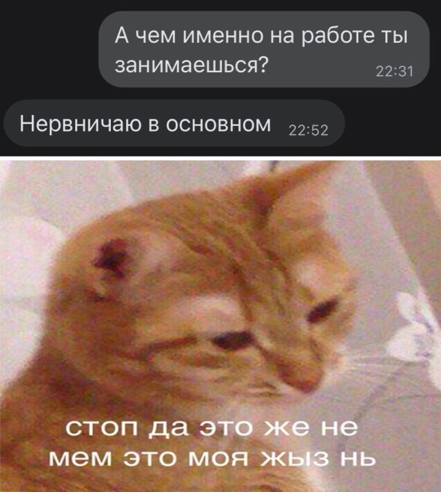 Подборка прикольных картинок Подборка прикольных картинок приколы,смешные картинки,юмор