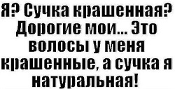 Мудрые высказывания когда, просто, такой, женщину, мужчины, заставить, почему, люблю, деньги, антисемит, только, глаза, резко, вылечил, бультерьер, больницы, спpашивает, точно, любишьСегодня, территорию