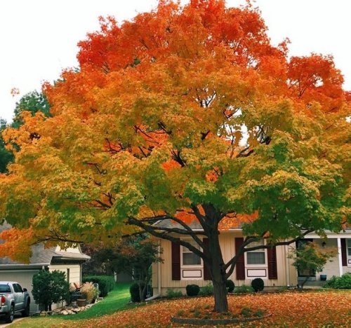 23 фотографии, которые доведут вас до визуального экстаза 23 фотографии, которые доведут вас до визуального экстаза