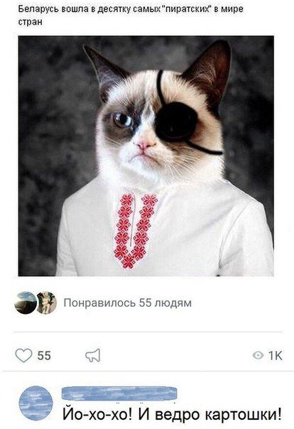 Новые прикольные комментарии