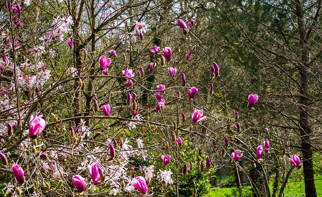 Очередные 10 000 шагов к здоровью