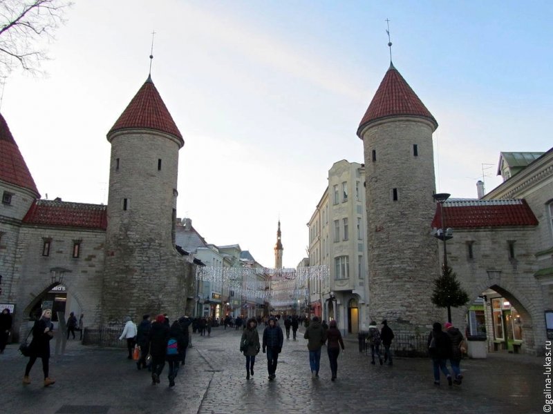 Зимние каникулы в Эстонии история,поездка,путешествие,туризм,Эстония