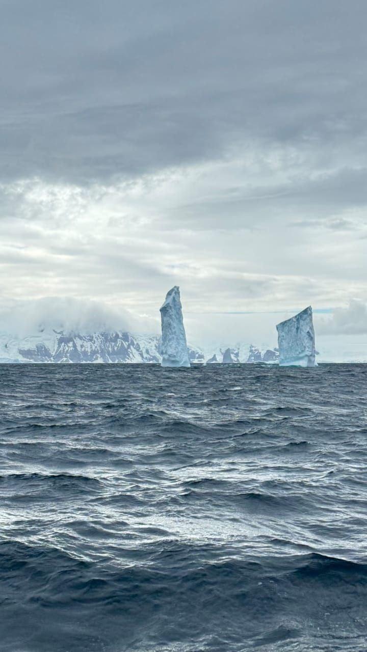 Федор Конюхов вернулся из Антарктиды, где подружился с пингвинами