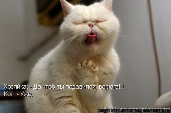 Мысли вслух :)