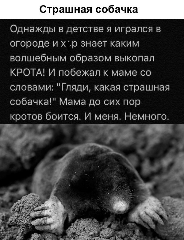 Девушка с маленькой грудью легко выносила из супермаркета то два апельсина, то два яблока. Спалилась на арбузах Девушка с маленькой грудью легко выносила из супермаркета то два апельсина, то два яблока. Спалилась на арбузах анекдоты,демотиваторы,приколы,юмор