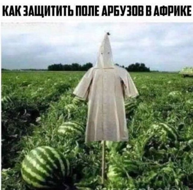 Немного странного и черного юмора 