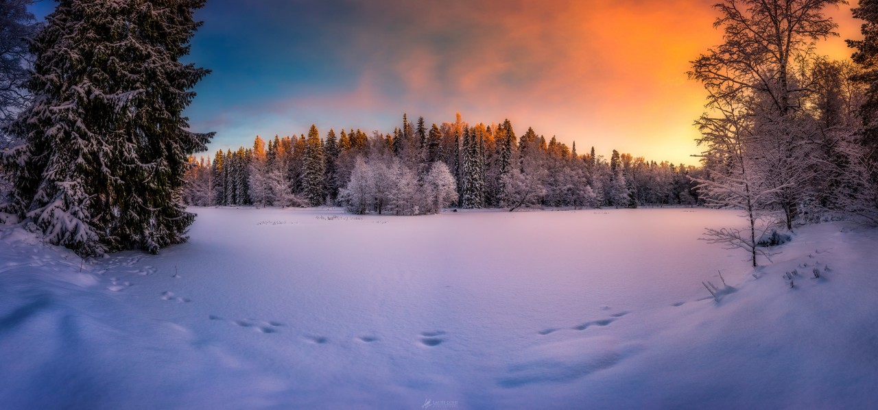  Красивый зимний утренний рассвет на Aulanko Nature reserve, HГ¤meenlinna, Finland / Ауланко заповедник, Хямеенлинна, Финляндия, ву Lauri Lohi