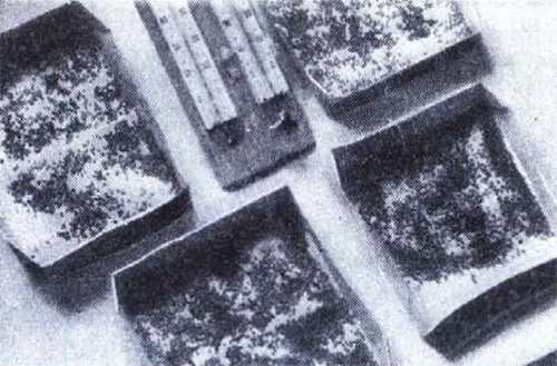 Чудо с продолжением интересное,наука