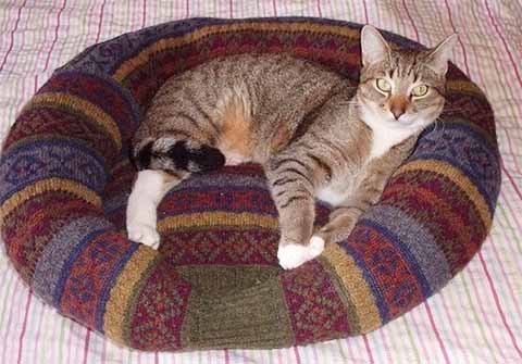 лежанка для кошки из старого свитера