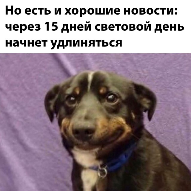 Подборка прикольных картинок  смешные картинки,юмор