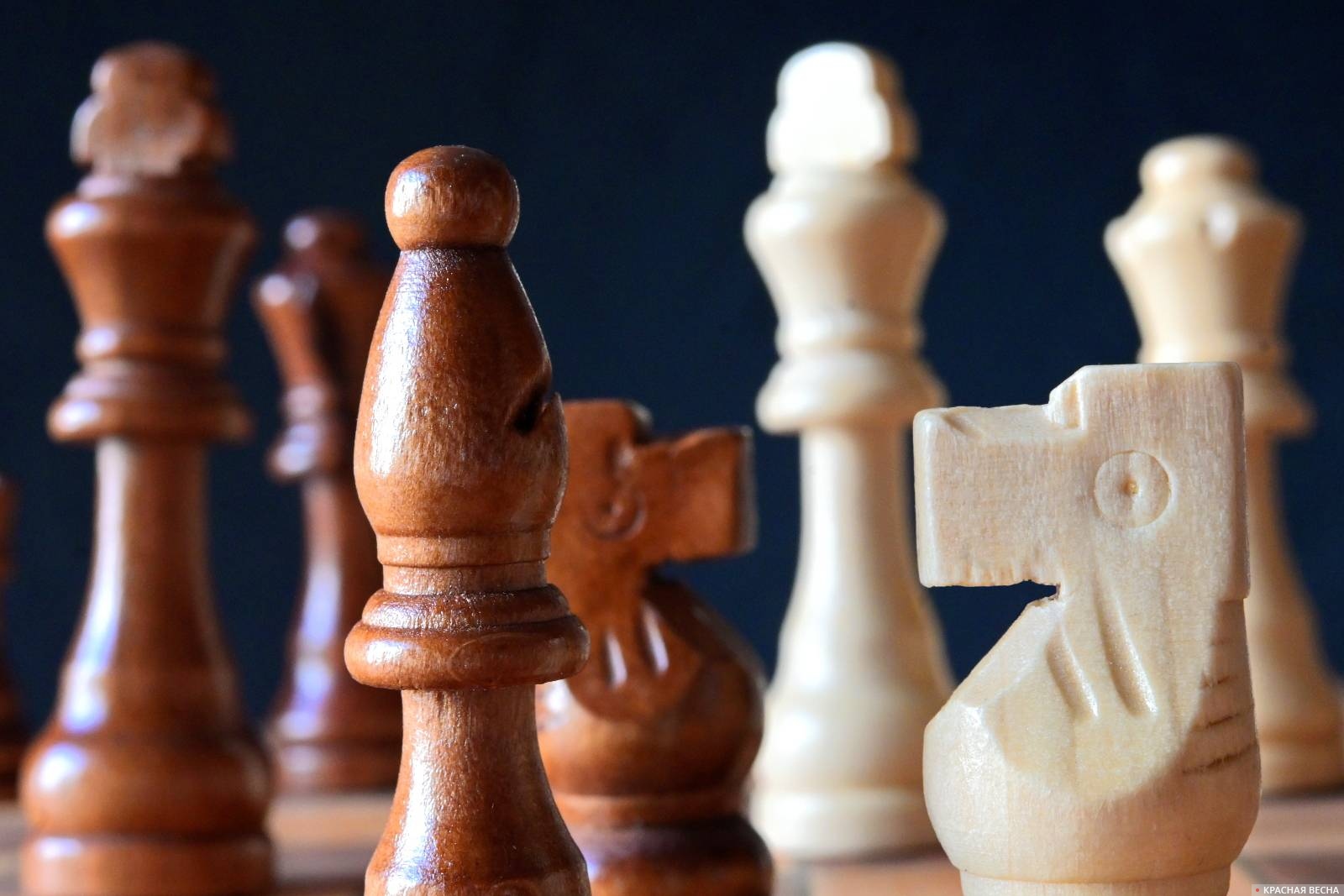Завершились чемпионаты Уральского федерального округа по шахматам