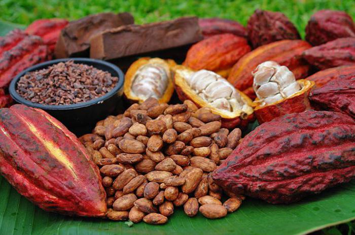 Полезные вещества в какао и сейчас делают этот напиток широко распространённым, его часто употребляют любители сладенького.