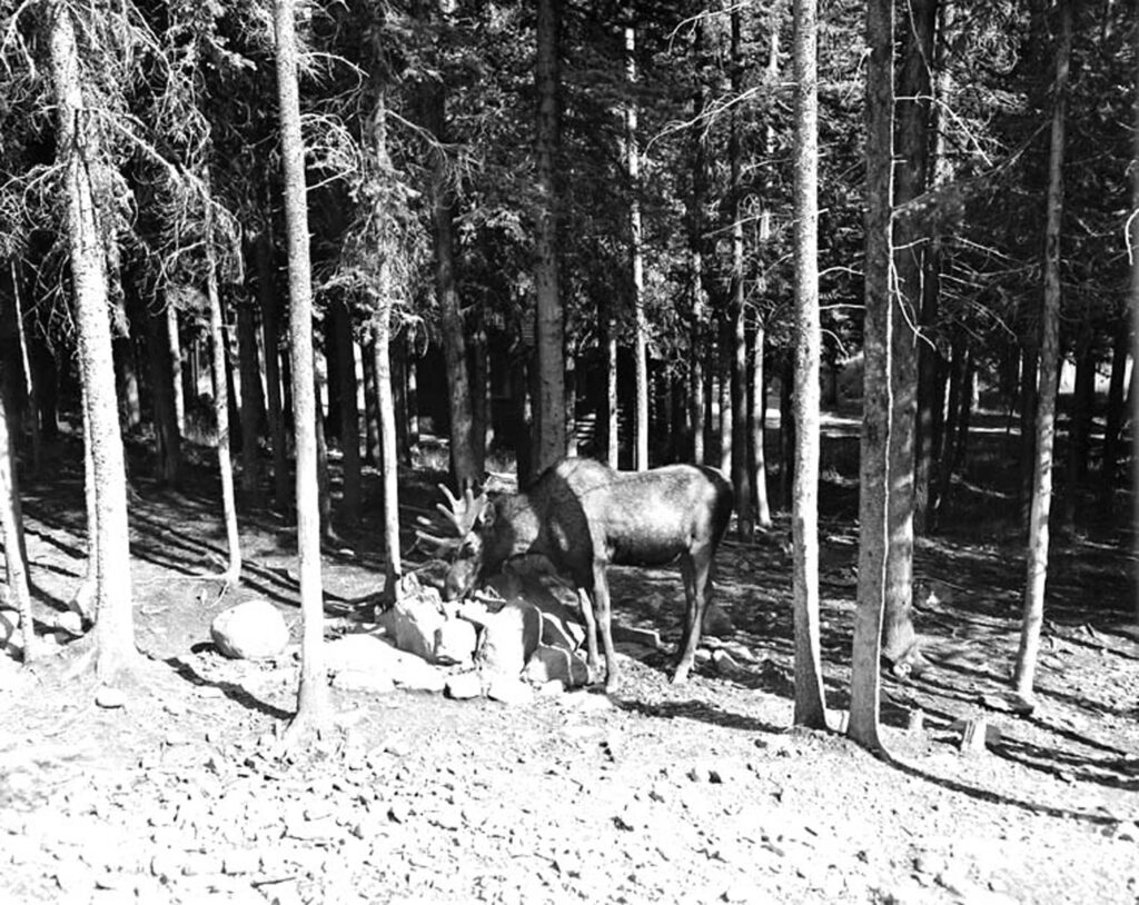 На уральском солончаке. Часть первая