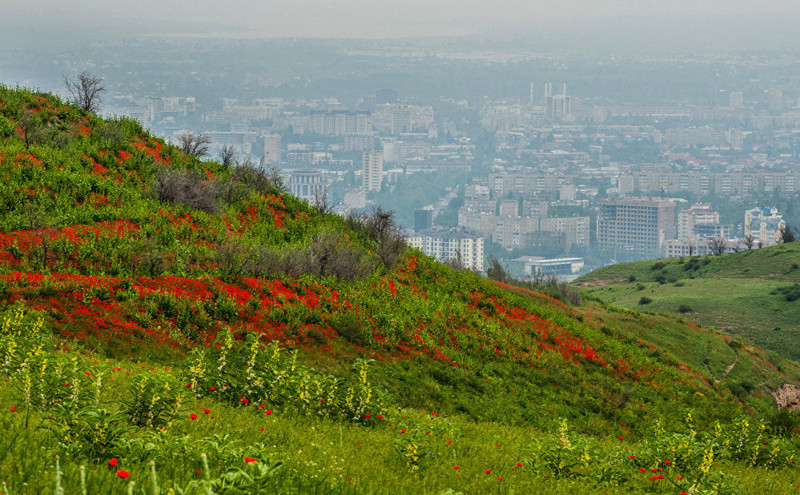 3. Вид на столицу Кыргызстана art, Кыргызстан, пейзаж, ссср, факты