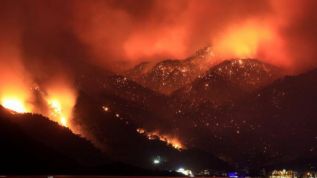 Турция контролирует почти все лесные пожары