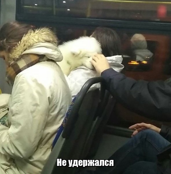 Фотоподборка среды  Юмор