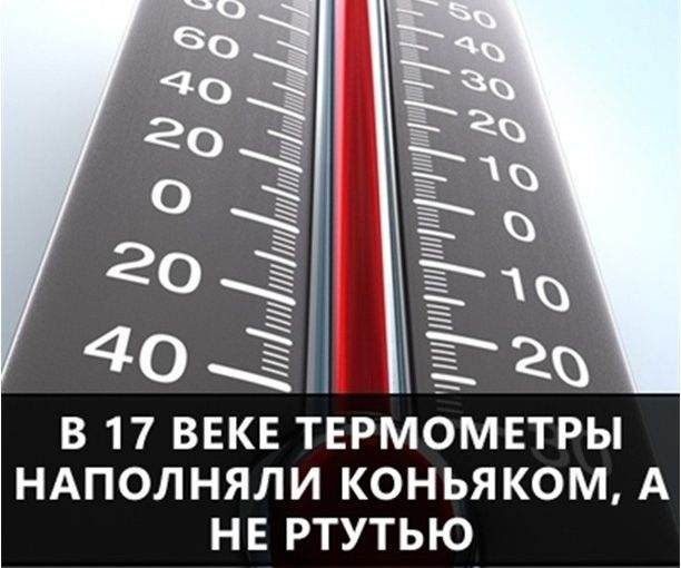 О самых интересных фактах в мире интересные, факты