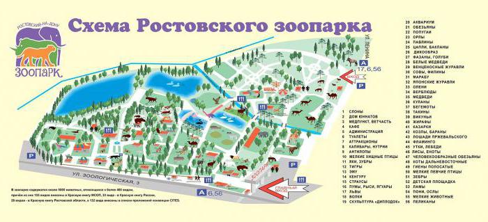 Зоопарки в Ростове: адрес, фото, режим работы
