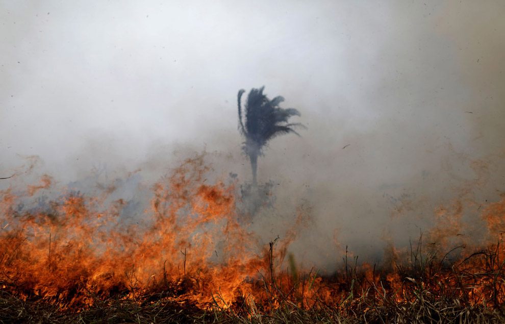 BRAZIL-ENVIRONMENT/WILDFIRES