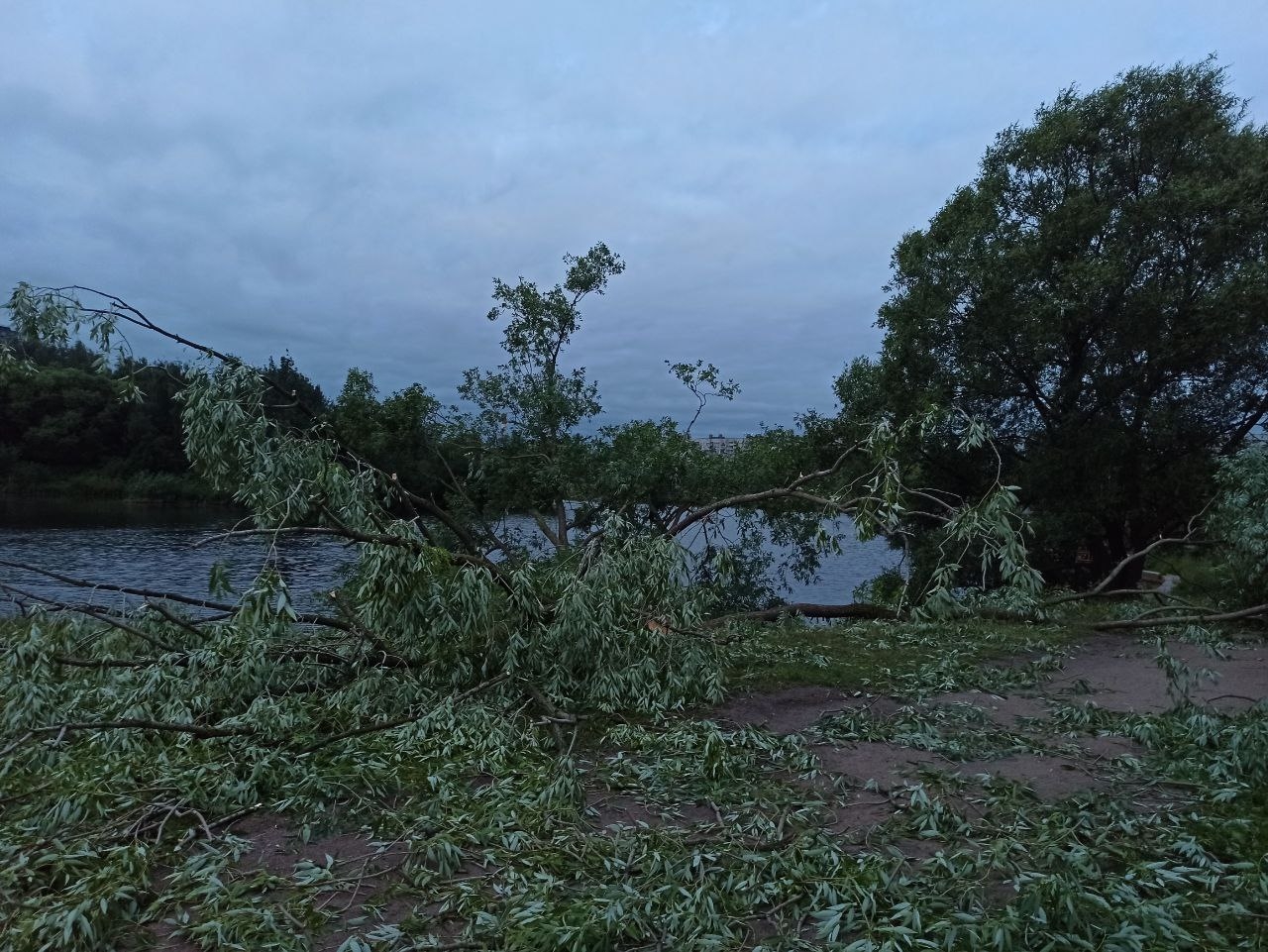 Грозы, ветер и ливни: петербуржцев ждет очередная непогода 3 июля