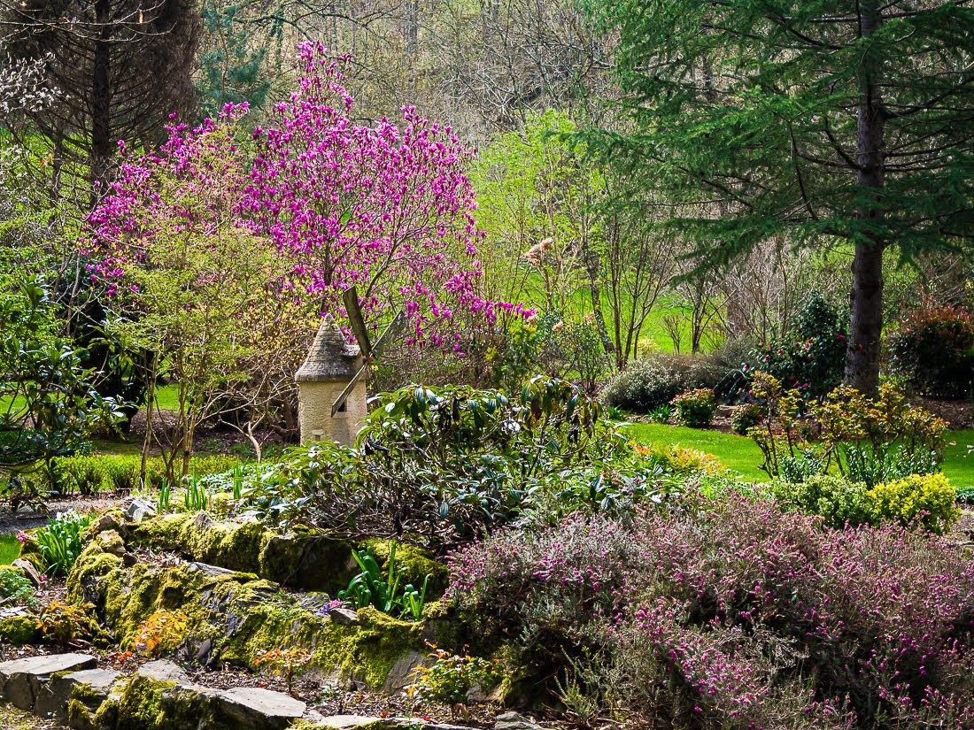 Очередные 10 000 шагов к здоровью Очередные 10 000 шагов к здоровью коронавирус,медицина,общество,яостаюсьдома
