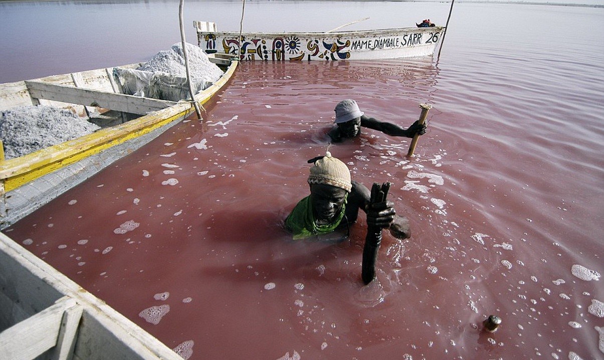 Добыча соли на розовом озере