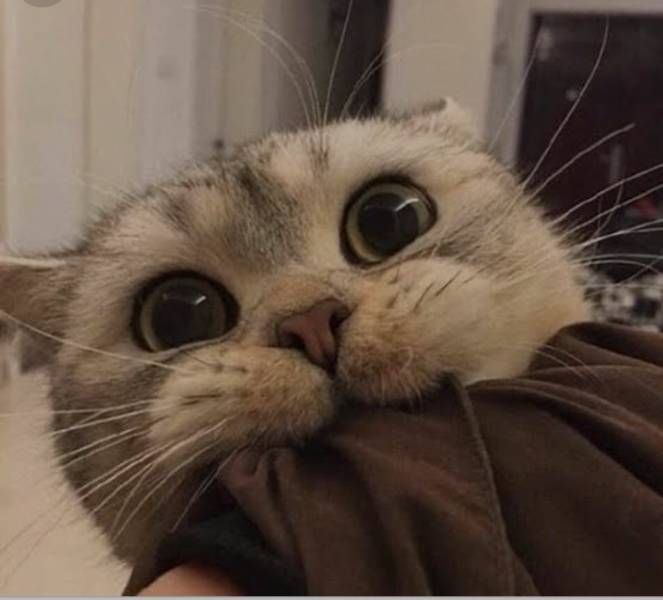 Подборка прикольных картинок Подборка прикольных картинок приколы,смешные картинки,юмор