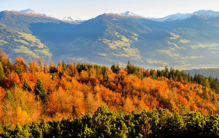 Очарование и красота уходящей осени (18 фото)