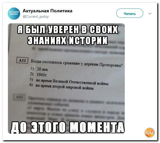 Политика читать