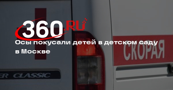 Шесть детей пострадали от укусов ос в детском саду на востоке Москвы