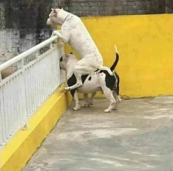 Подборка смешных картинок  приколы,смешные картинки,юмор