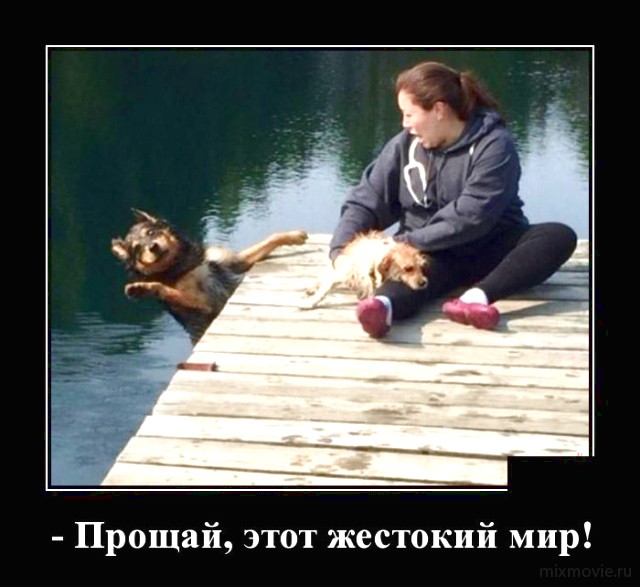 Прикольные, смешные и веселые демотиваторы для улыбки и хорошего настроения Прикольные, смешные и веселые демотиваторы для улыбки и хорошего настроения демотиваторы свежие,приколы,смешные демотиваторы,юмор