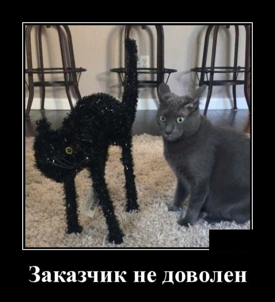 Кто тебе в старости подаст телефон? Кто тебе в старости подаст телефон? анекдоты,веселье,демотиваторы,приколы,смех,юмор