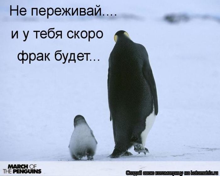 Мысли вслух :)