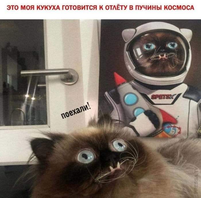 Свежая подборка юмора, который сотворит чудеса с настроением 